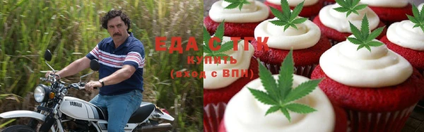 мдпв Инсар