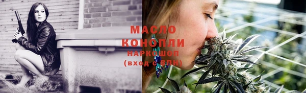 мдпв Инсар