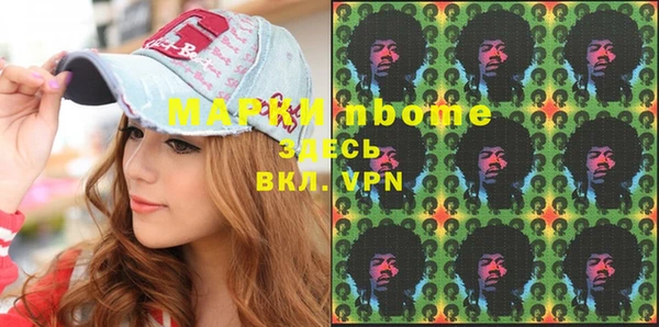мдпв Инсар