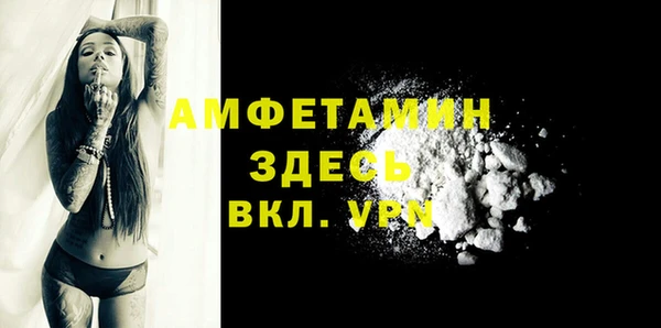 мдпв Инсар