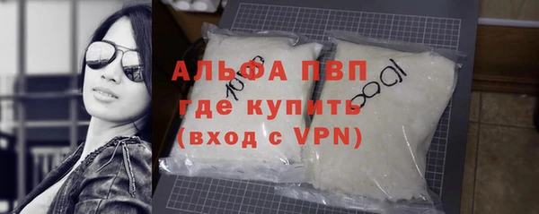 мдпв Инсар