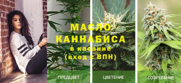 мдпв Инсар