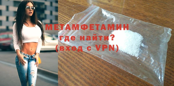 мдпв Инсар