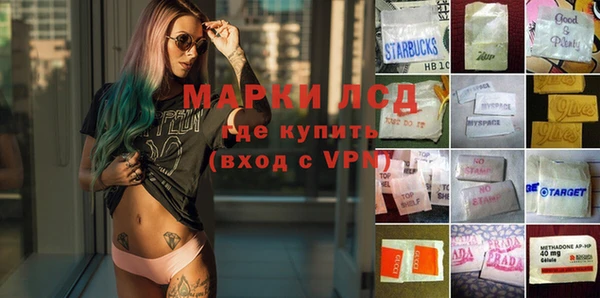 мдпв Инсар