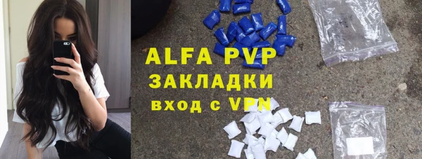 мдпв Инсар