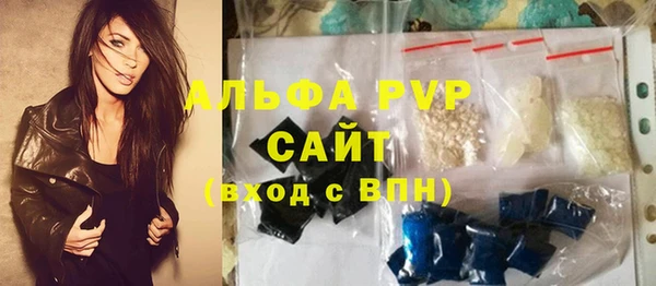 мдпв Инсар