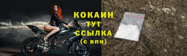 мдпв Инсар