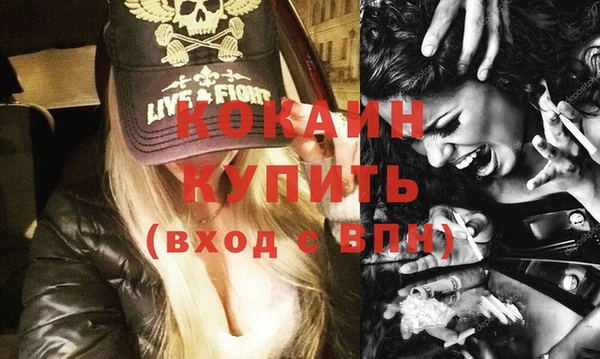 мдпв Инсар
